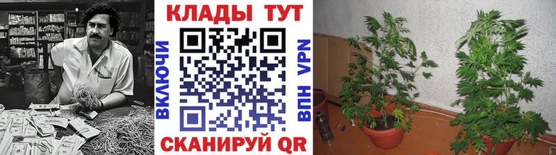 Купить наркоту Олёкминск ГЕРОИН  Меф  ГАШИШ  МАРИХУАНА 