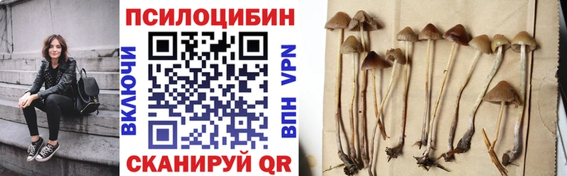 магазин продажи наркотиков  kraken tor  Псилоцибиновые грибы Psilocybine cubensis  Олёкминск 